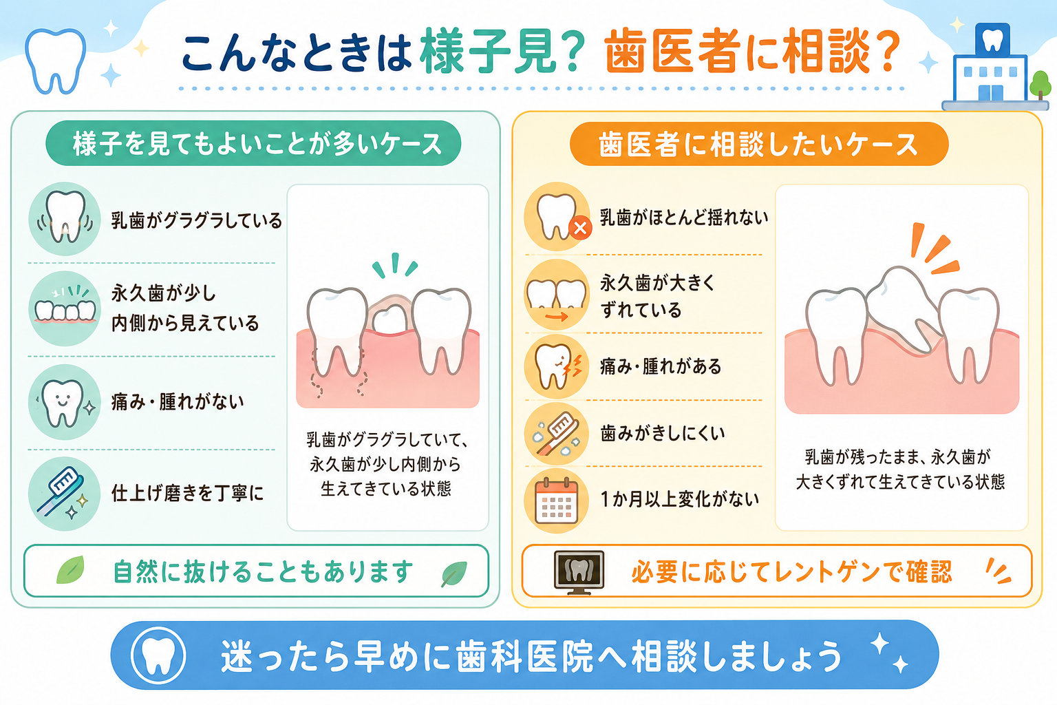 乳歯と永久歯_様子見と受診の目安